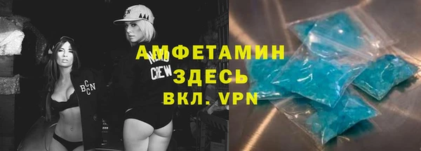 шишки Новодвинск