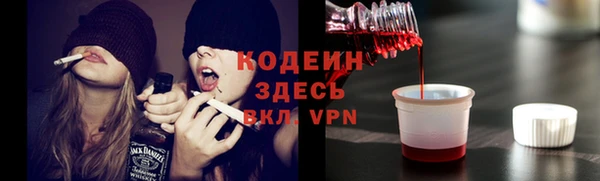 прущие грибы Алексеевка