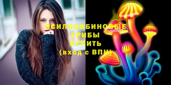 бошки Новозыбков